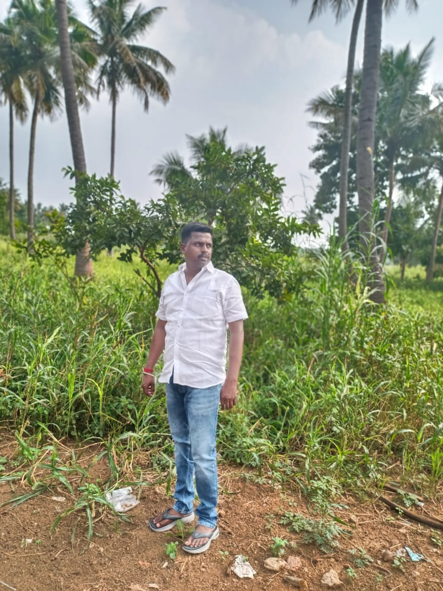 Groom Image